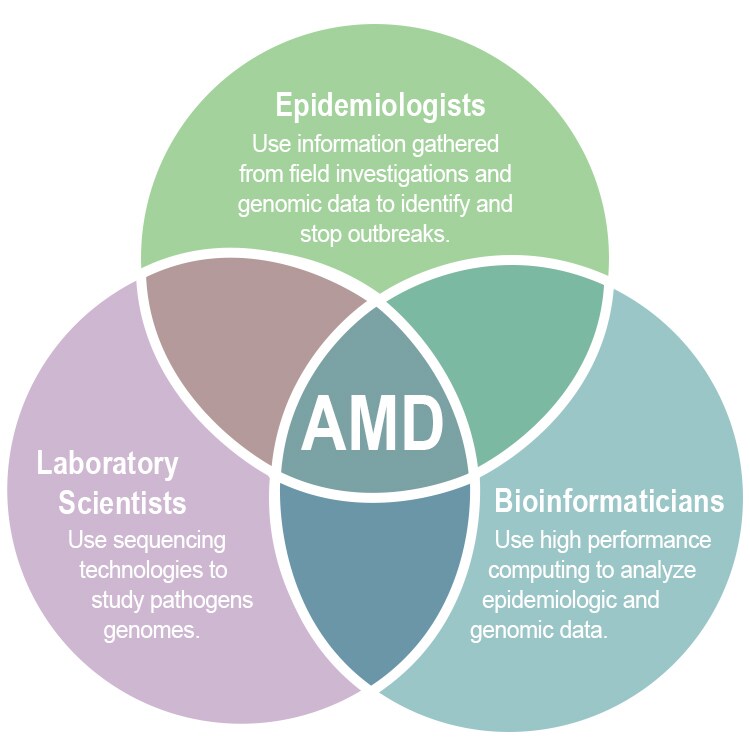 AMD Venn Diagram