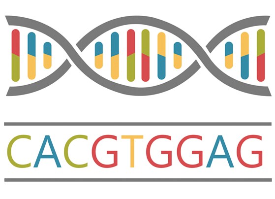 Illustration of a simplified DNA structure above a set of letters representing reading the DNA's sequence