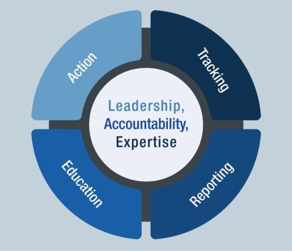 Blue diagram that includes all Core Elements of Antibiotic Stewardship for Health Departments.