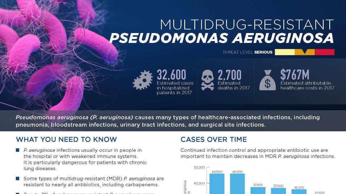 pseudomonas aeruginosa thumbnail