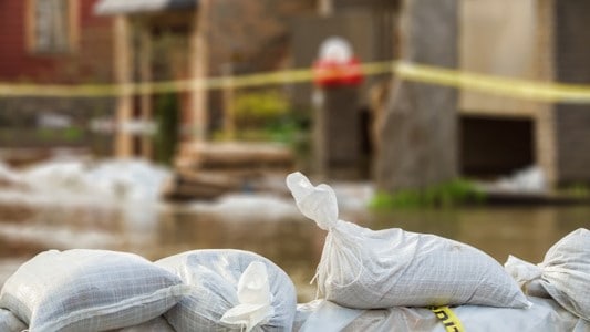 Numerous white bags filled with material.