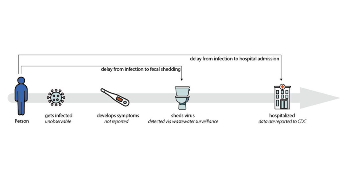 Wastewater data can detect changes in transmission patterns before they appear in hospital admissions data graphic