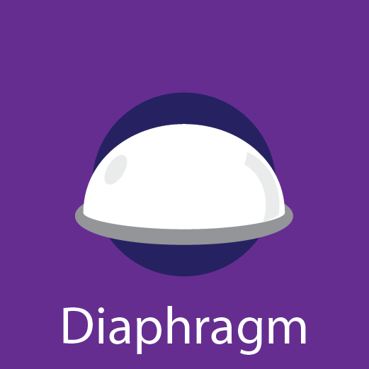 Diaphragm