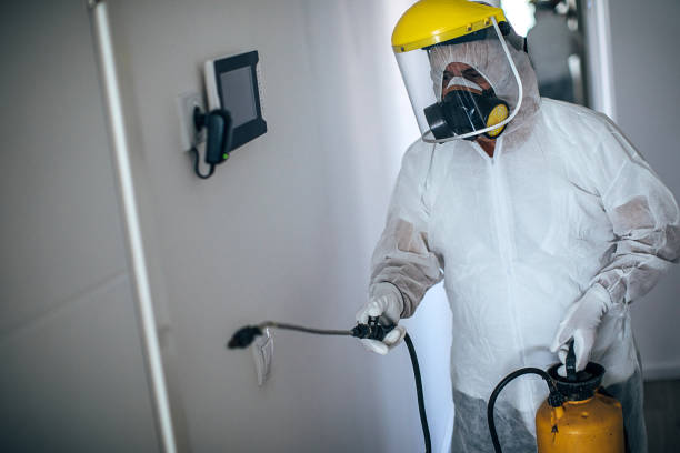 Individual using an electrostatic sprayer to disinfect a space.