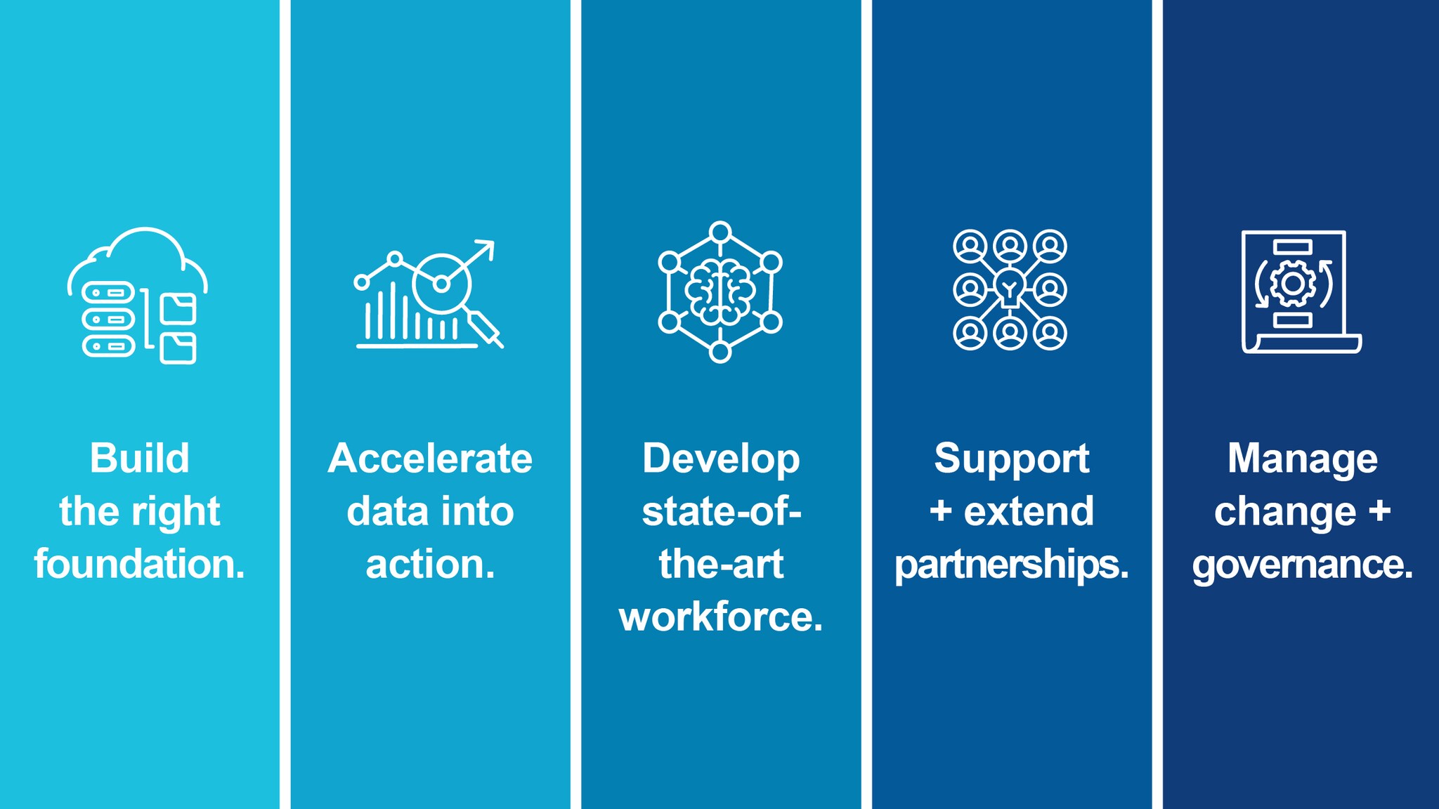 The five DMI priorities.