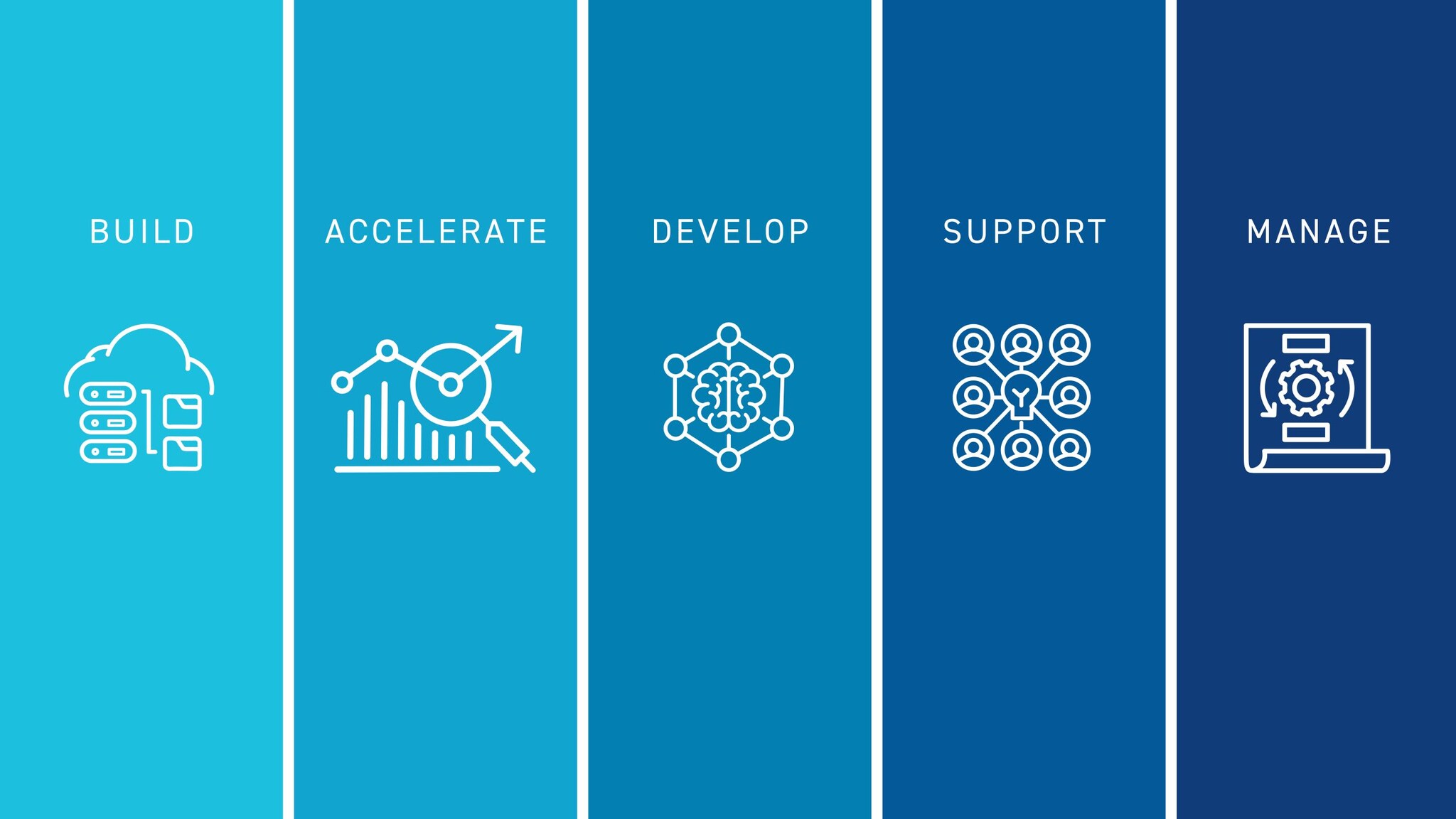 5 DMI priorities: build; accelerate; develop; support; change