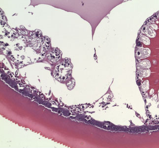 Case364_D.jpg