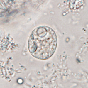Case365_E.jpg