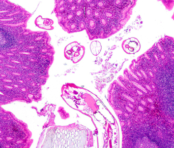 Case400_A.jpg