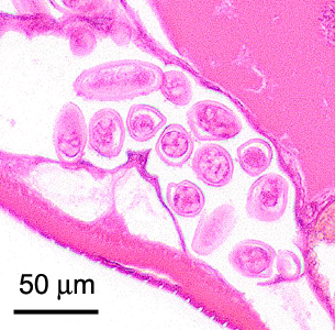 Case400_E.jpg