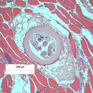 Case426_A.jpg