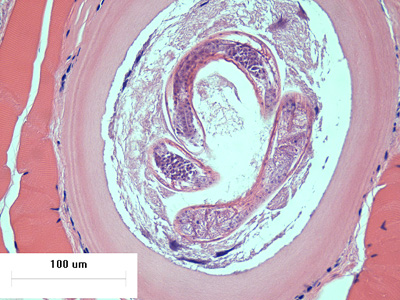 Case426_D.jpg