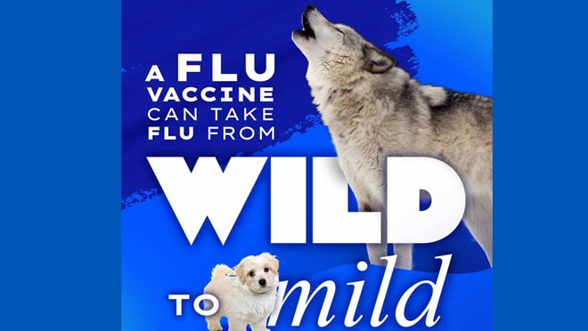 Wild to Mild Wolf