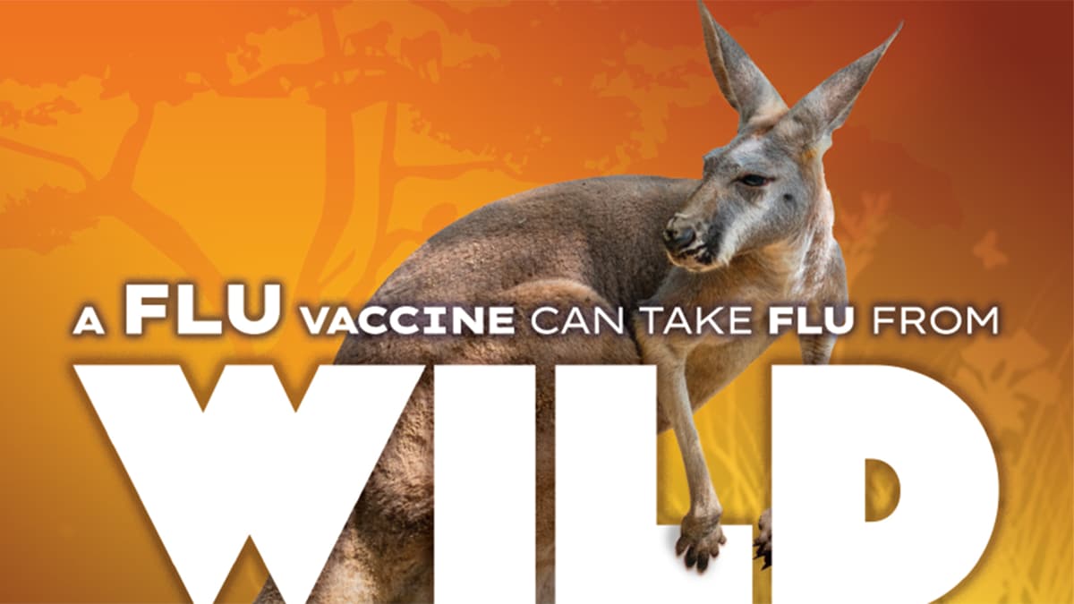 A flu vaccine can take flu from Wild to mild. Help tame flu's more serious symptoms for you and your baby. Talk to your provider about a flu vaccine for two.