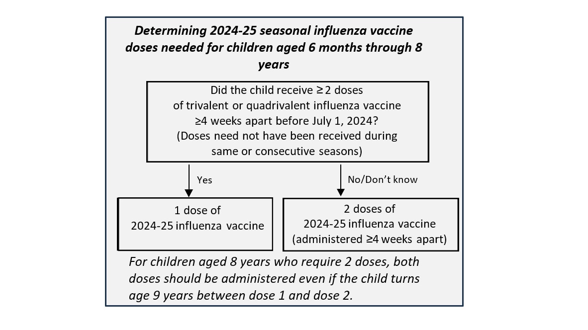 Determining 2024-25 seasonal influenza vaccine doses needed for children aged 6 months through 8 years