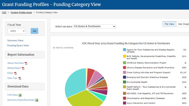 Pie chart illustrating grant funding by category.