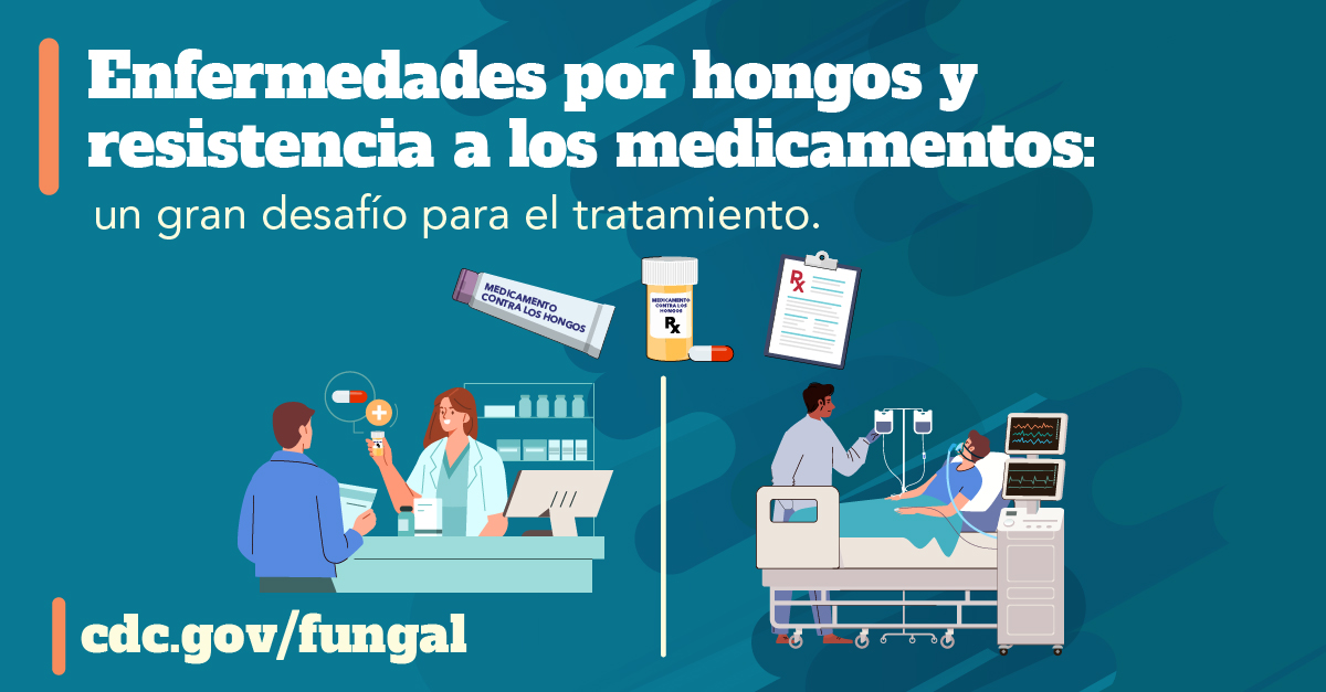 La parte superior de la imagen muestra una crema antifúngica, un medicamento recetado y una receta. La mitad inferior de la imagen muestra a un paciente recogiendo su medicamento recetado en la farmacia y a un paciente enfermo en una cama de hospital.