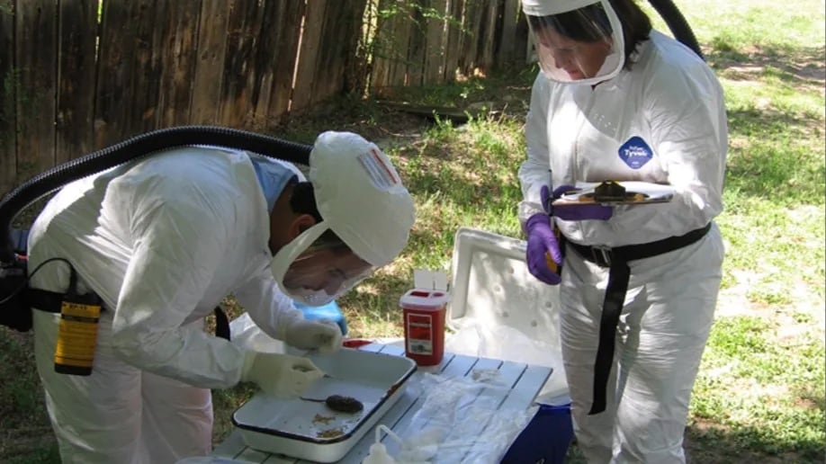 Healthcare workers in white hazmat suits