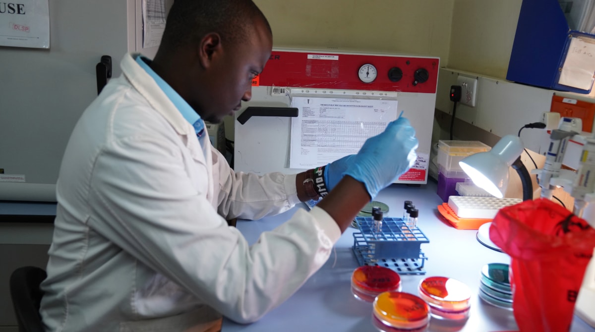 Lab worker wearing a lab coat and gloves, handling petri dishes and test tubes.