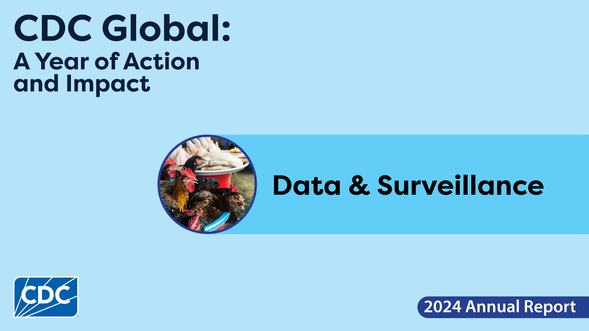 Graphic image featuring a light blue background and circular image of various birds. In the top left corner is the report title, 'CDC Global: A Year of Action and Impact.' The main title in the center of the image reads 'Data & Surveillance.' The CDC logo appears in the bottom left corner.