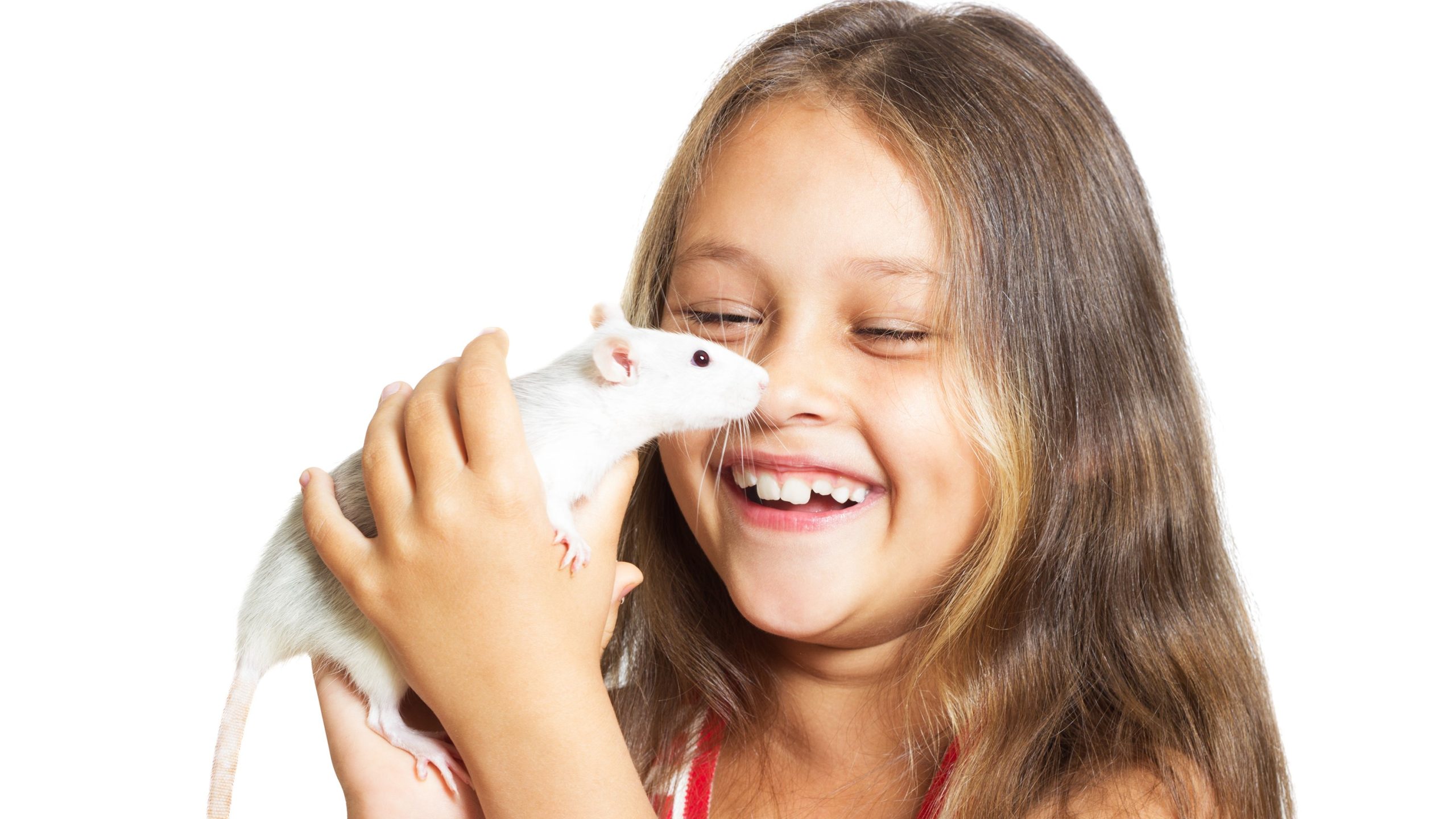 Girl with pet rat a young girl smiles and holds a white rat
