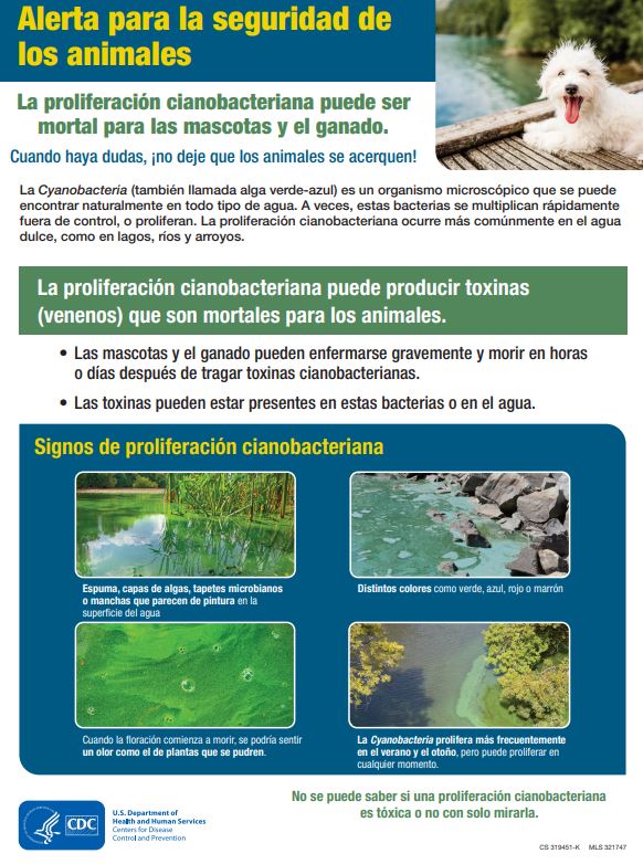 thumbnail_animal safety alert_spanish