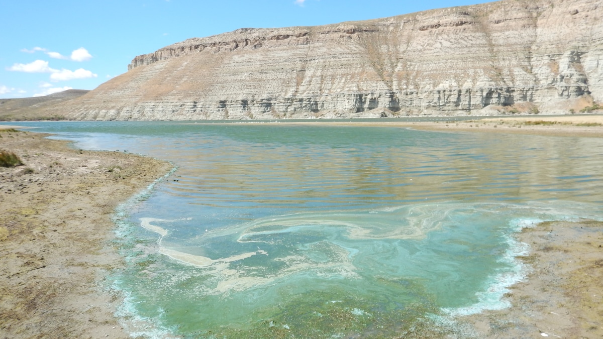 Reservoir with algae that looks like spilled paint near the shore. A rock formation is on the far shore.