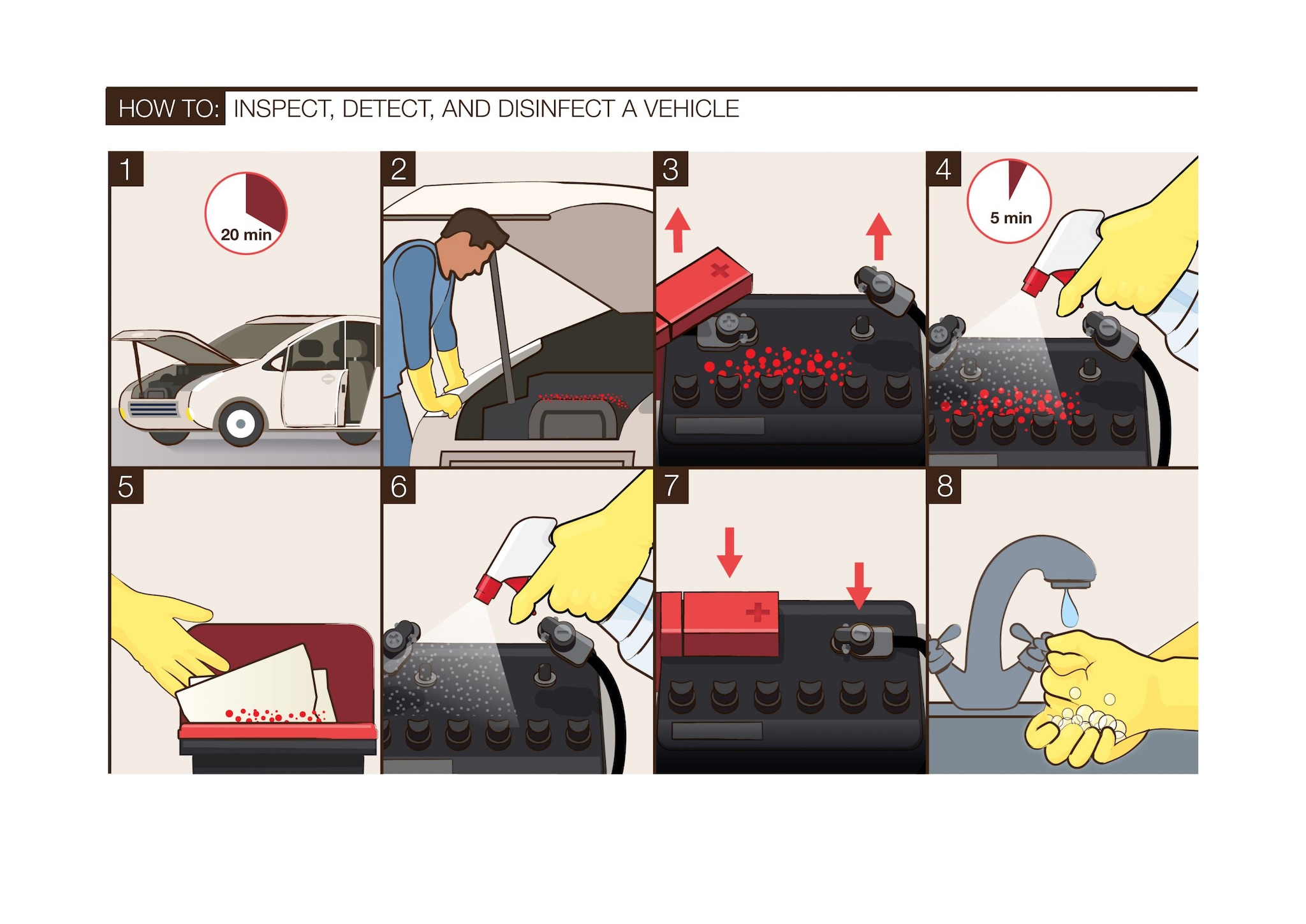 An 8-step infographic showing how to inspect, detect rodents, and disinfect a vehicle.