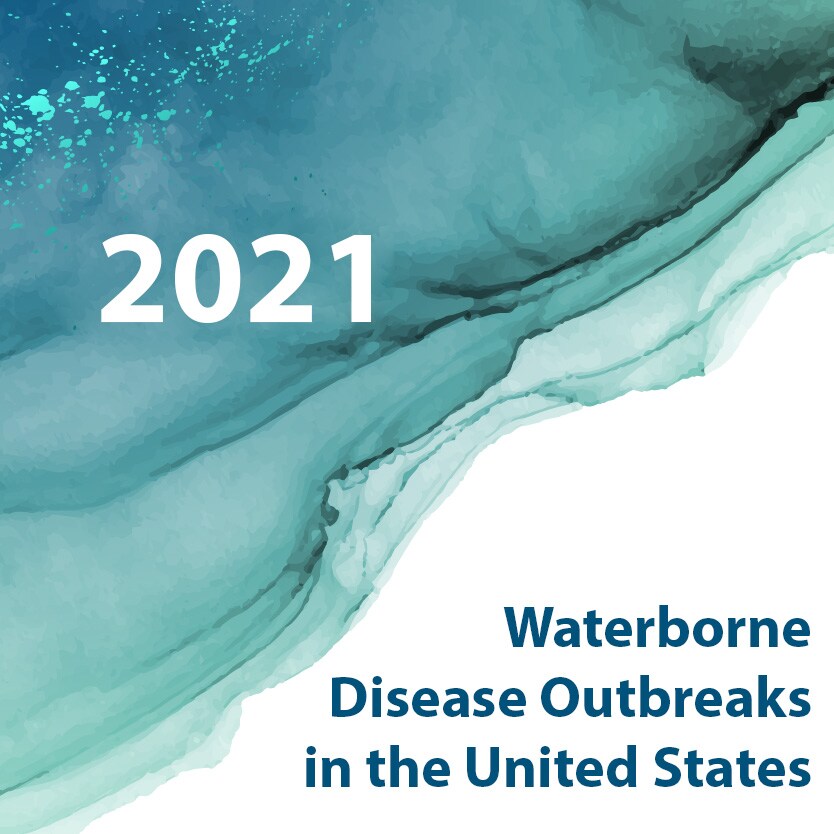 Thumbnail for 2021 Waterborne Disease Report