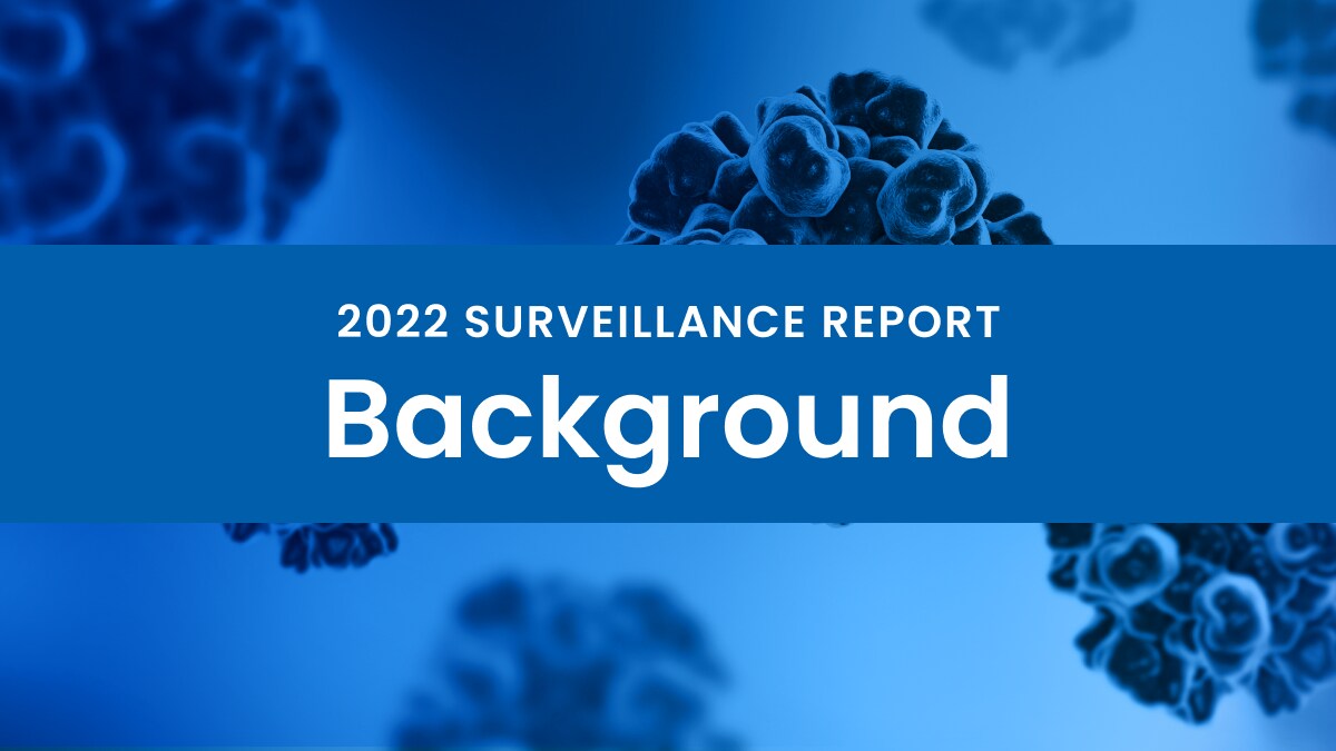 2022 Hepatitis Surveillance Report Background