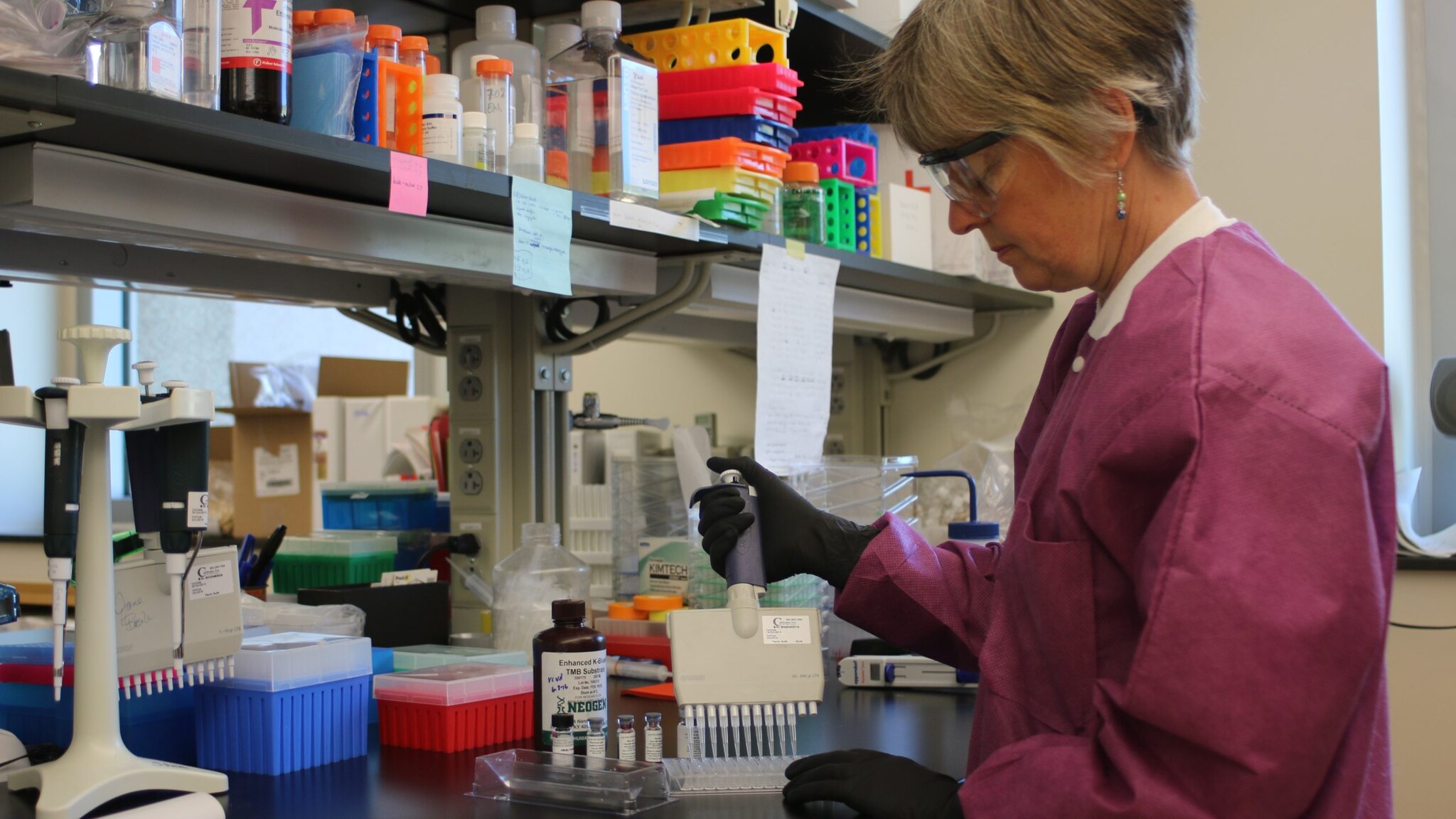 Lab worker running a test