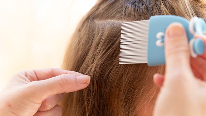 Adult using fine-toothed comb on child's hair.