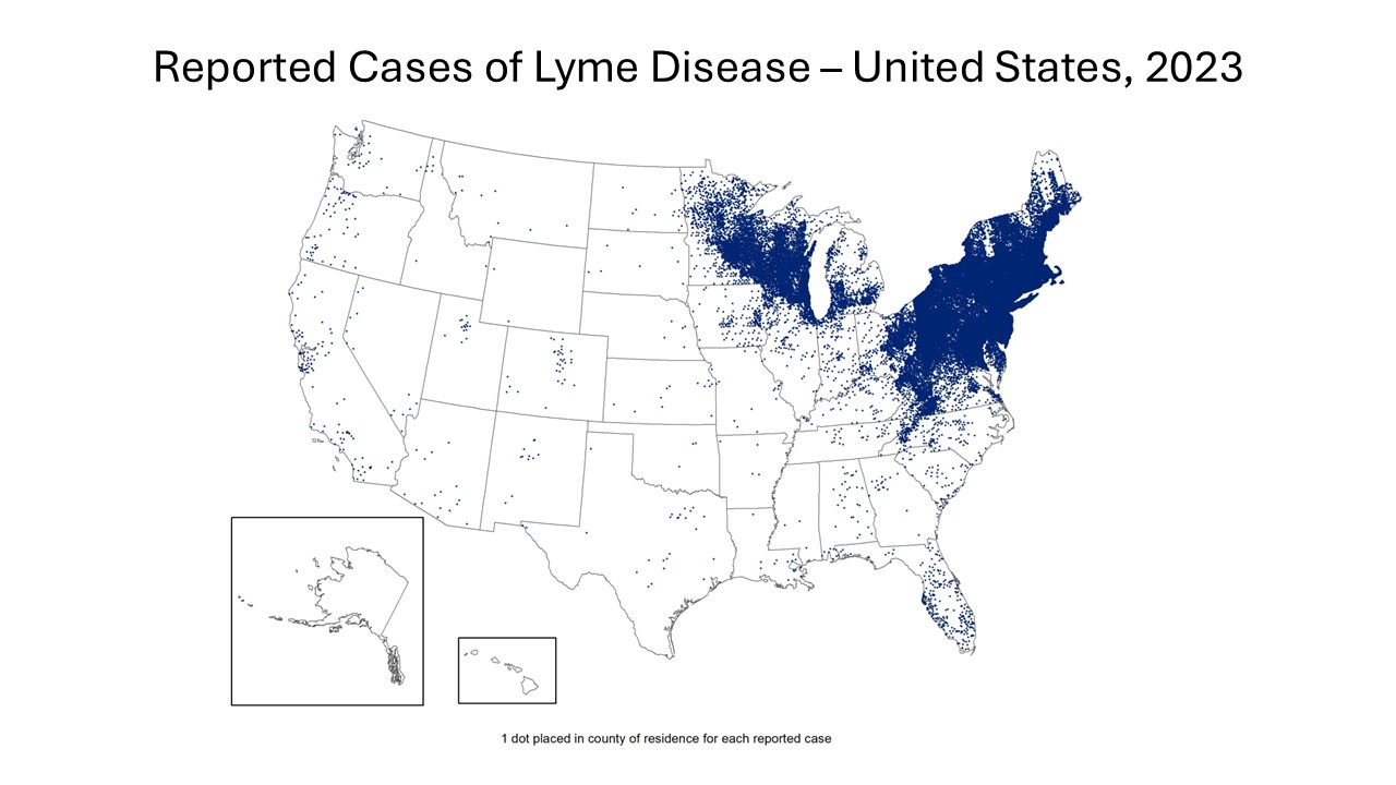 Map of U.S. showing reported cases of Lyme disease in 2023