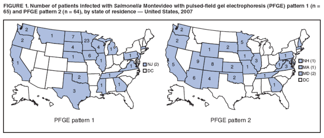 FIGURE 1. Number of patients infected with Salmonella Montevideo with pulsed-field gel electrophoresis (PFGE) pattern 1 (n = 65) and PFGE pattern 2 (n = 64), by state of residence � United States, 2007