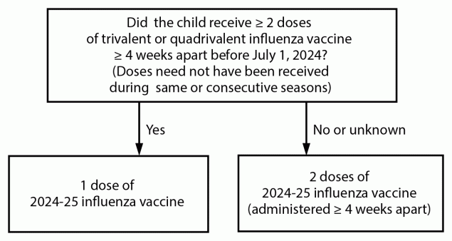 The figure is a flow chart that presents the influenza dosing algorithm for children aged 6-8 years.