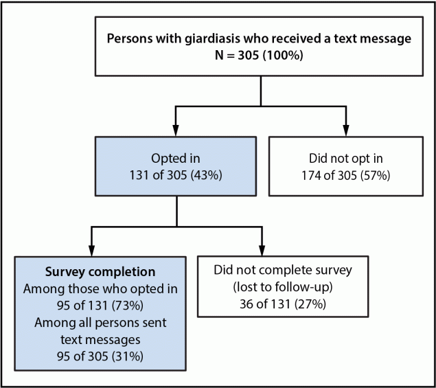 Evaluation of a Combined Text Messaging and Online Survey Protocol for Giardiasis Case Investigation — Colorado, September 2023–May 2024 Flowchart showing that among 305 persons in Colorado with giardiasis who received a text message to opt in to an online survey, 131 opted in, and of those, 95 completed the survey.