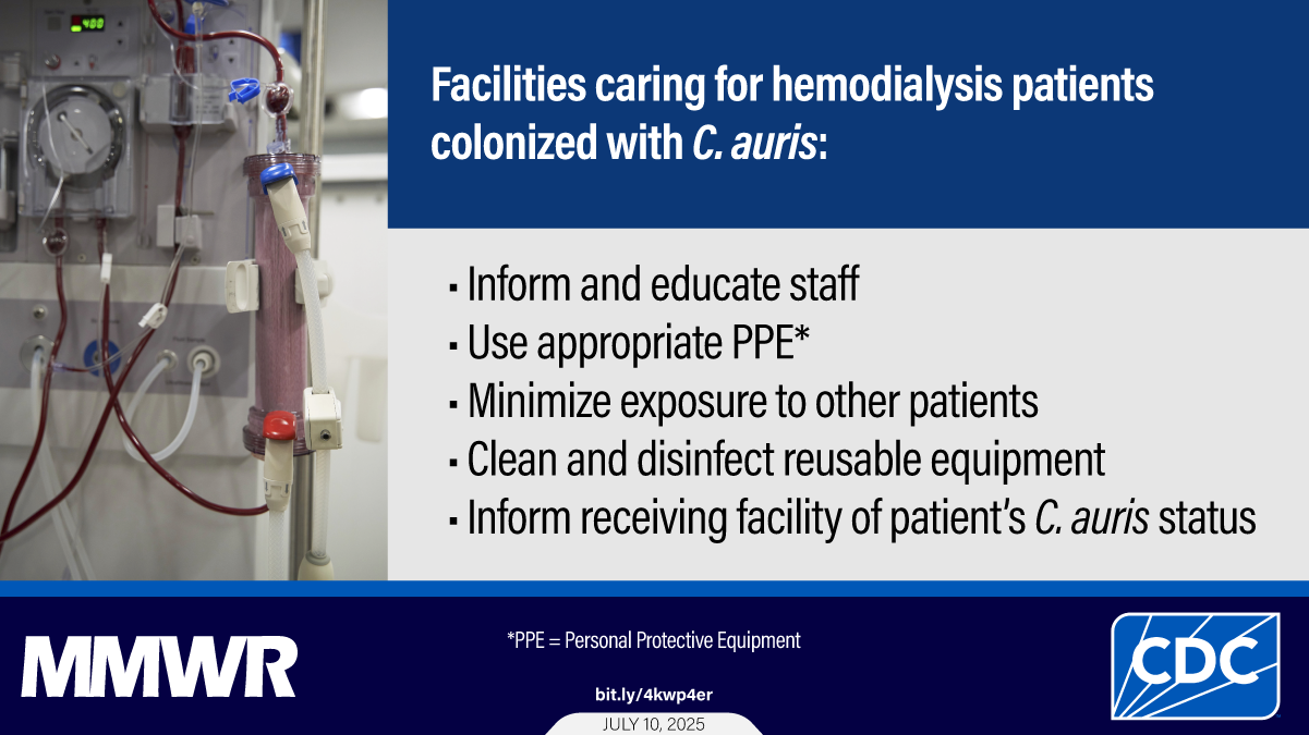 The graphic shows a medical illustration of Candida auris fungal organisms.