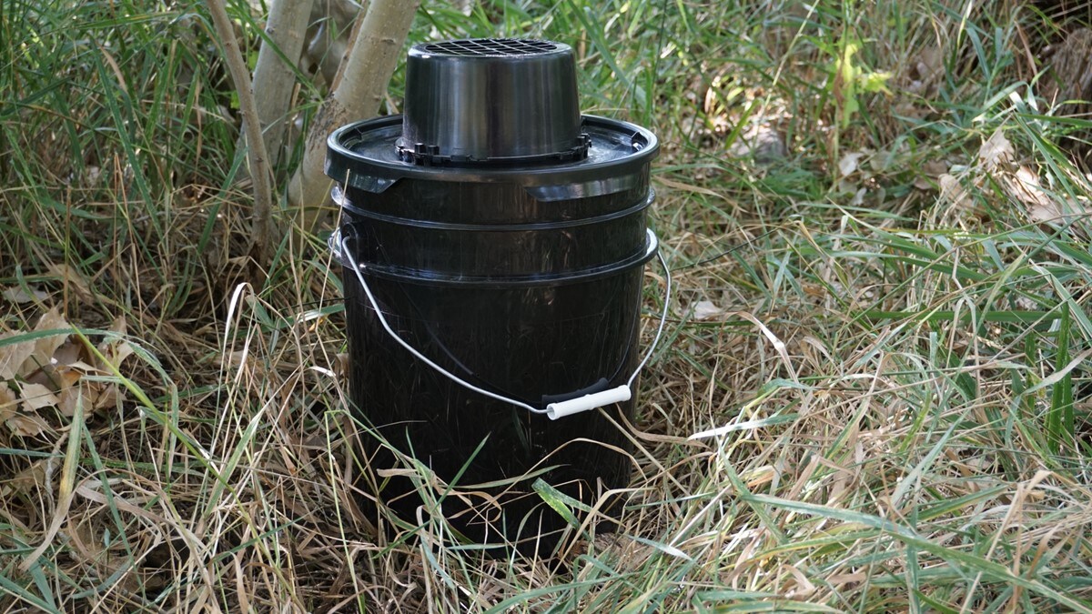 Photo of an autocidal gravid ovitrap (AGO) for collecting mosquitoes placed in a field of grass.