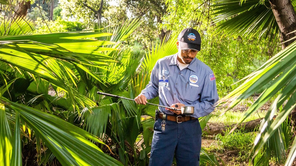 San Gabriel Valley Mosquito & Vector Control District Vector Control Specialist Steven Gallegos inspects a water sample for the presence of mosquito larvae in a neighborhood park.