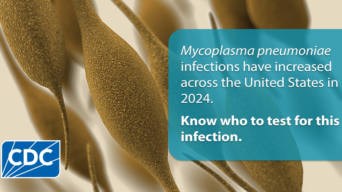 Mycoplasma pneumoniae infections increased in 2024. Know who to test.