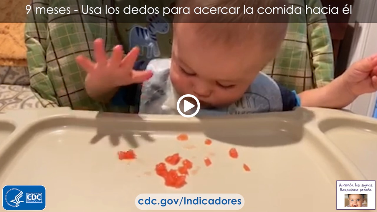 Usa los dedos para acercar la comida hacia él