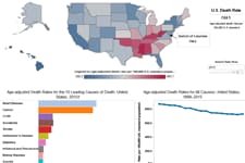 Leading Causes of Death, United States, 1999 through 2017