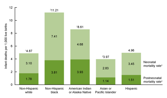 Figure 2 is a bar chart showing the total infant mortality rate split by the respective neonatal and postneonatal mortality rates for infants of non-Hispanic white, non-Hispanic black, American Indian or Alaskan Native, Asian or Pacific Islander, and Hispanic women in 2016.