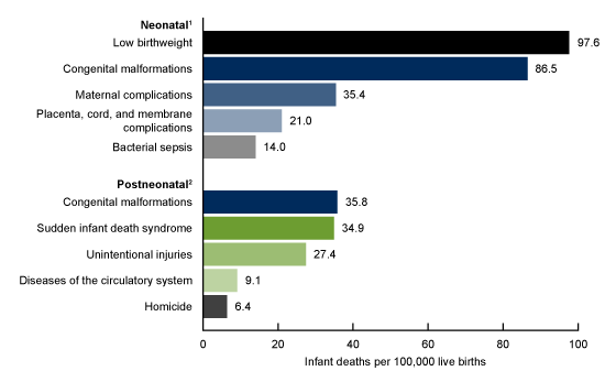 Figure 4 is a bar chart showing the neonatal and postneonatal mortality rates for the leading causes of death for each age of death in 2016.