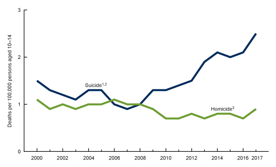 Figure 2 is a line chart showing suicide and homicide death rates for persons aged 10-14 for 2000 through 2017.