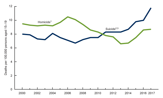 Figure 3 is a line chart showing suicide and homicide death rates for persons aged 15-19 for 2000 through 2017.