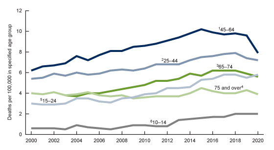 Figure 2 is a line chart of suicide rates for females by age groups for the United States for 2000–2020. 