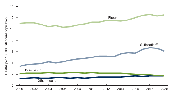 Figure 5 is a line chart of age-adjusted suicide rates for males by means of suicide for the United States for 2000–2020.