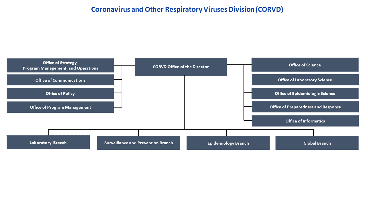 coronavirus and other respiratory viruses division (corvd)