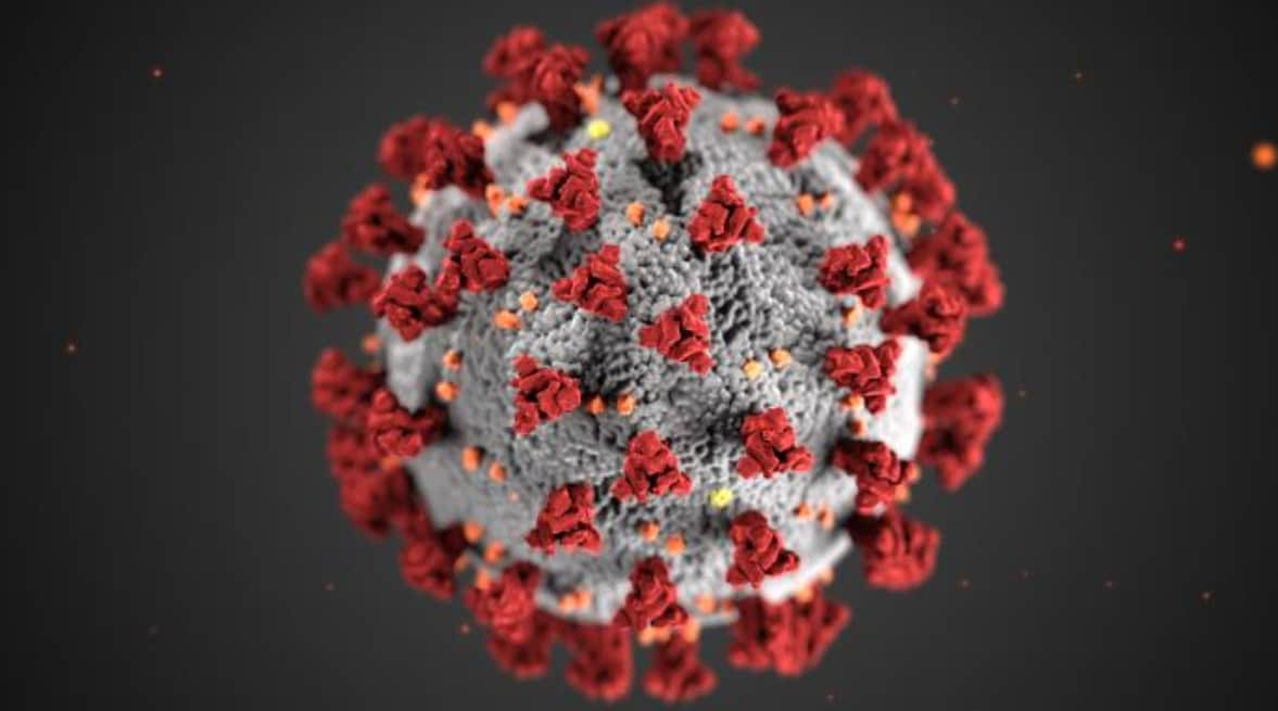 This illustration shows a microscopic image of the structure of coronaviruses. There are red spike proteins on the outer surface of the virus.